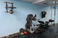 photo_240@04-07-2023_16-44-12